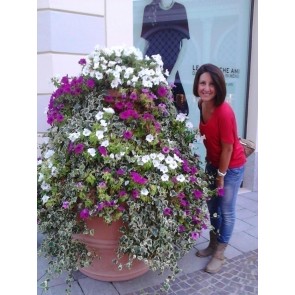 Alessia