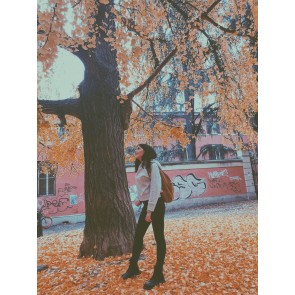 Vanessa